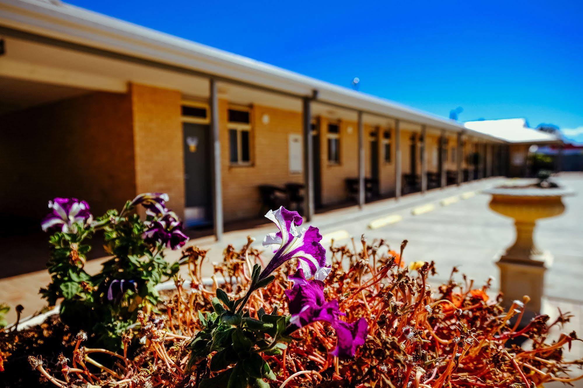 Club Motor Inn Narrabri Eksteriør bilde